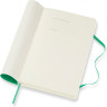 Еженедельник MOLESKINE CLASSIC WKLY LARGE (мятный) DSK4612WN3